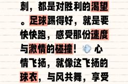 渴望胜利的心情，燃烧着每个足球爱好者的热情